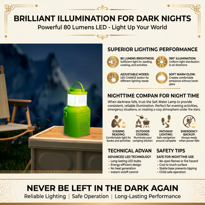 Salt Water Lamp